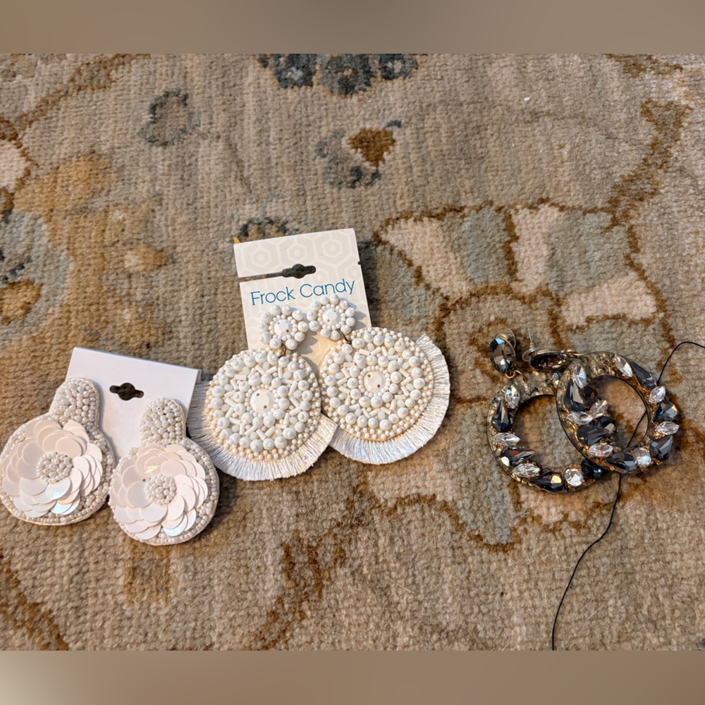Statement Earrings Bundle - image 1
